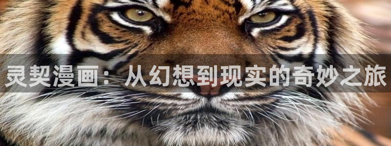 禁漫天堂下载安装