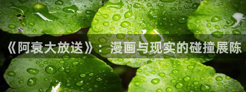 禁漫天堂的网址：《阿衰大放送》：漫画与现实的碰撞展陈