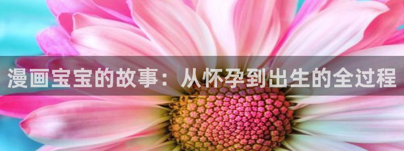 禁天漫天堂网页版：漫画宝宝的故事：从怀孕到出生的全过程